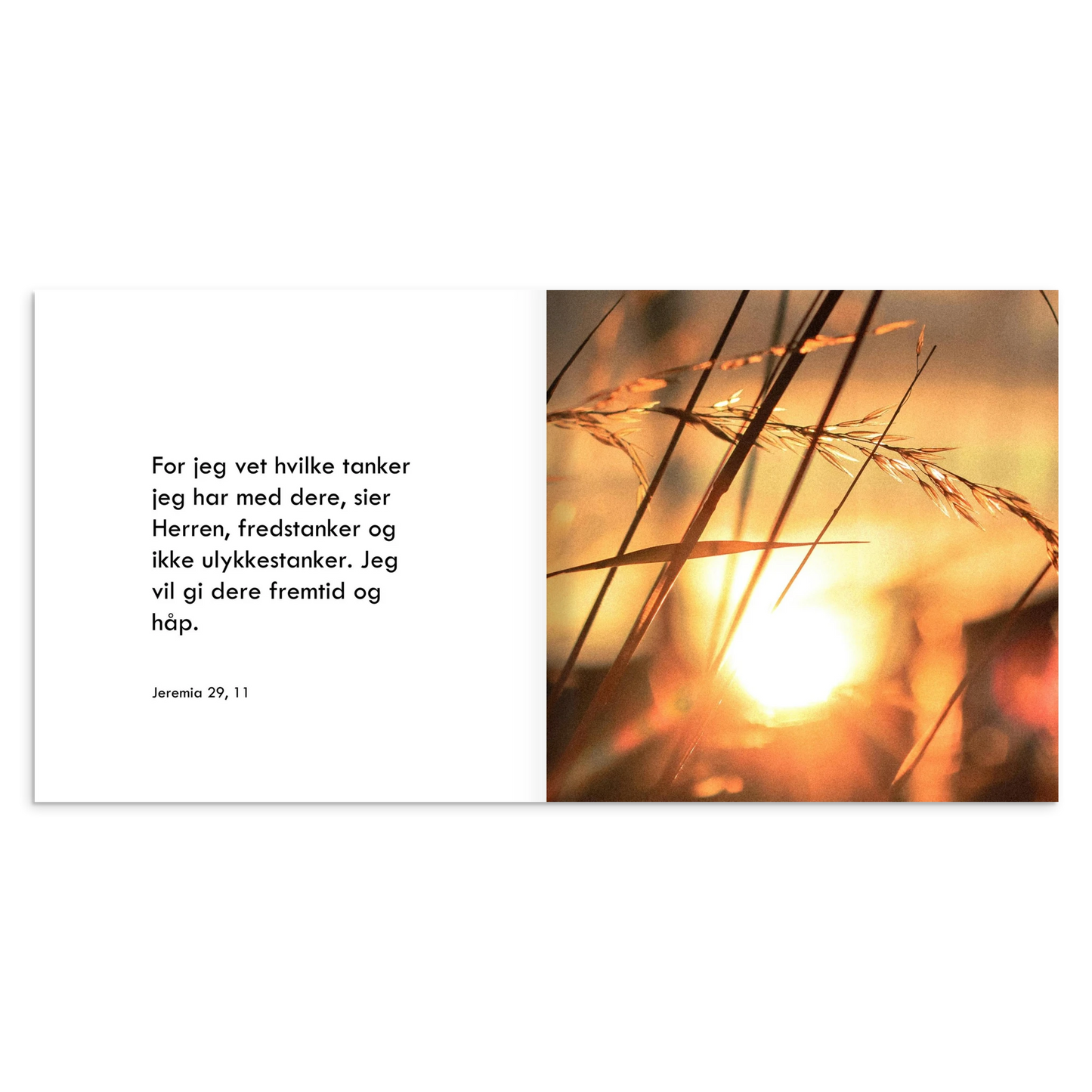 e0fe2de0-6ee7-4b9d-af47-3adfcef2927b