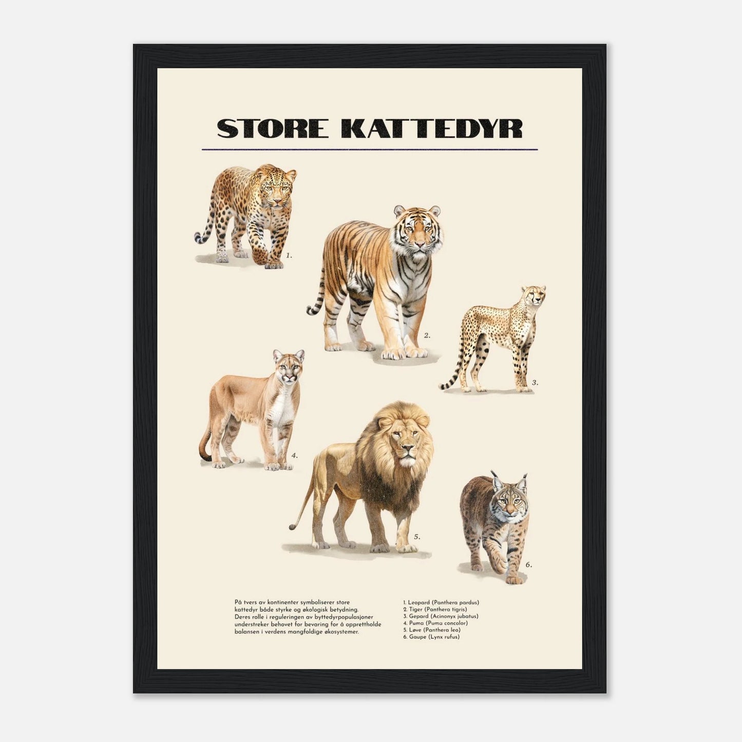 e8e86c14-1eeb-473a-ab97-f1b1ff8d0143