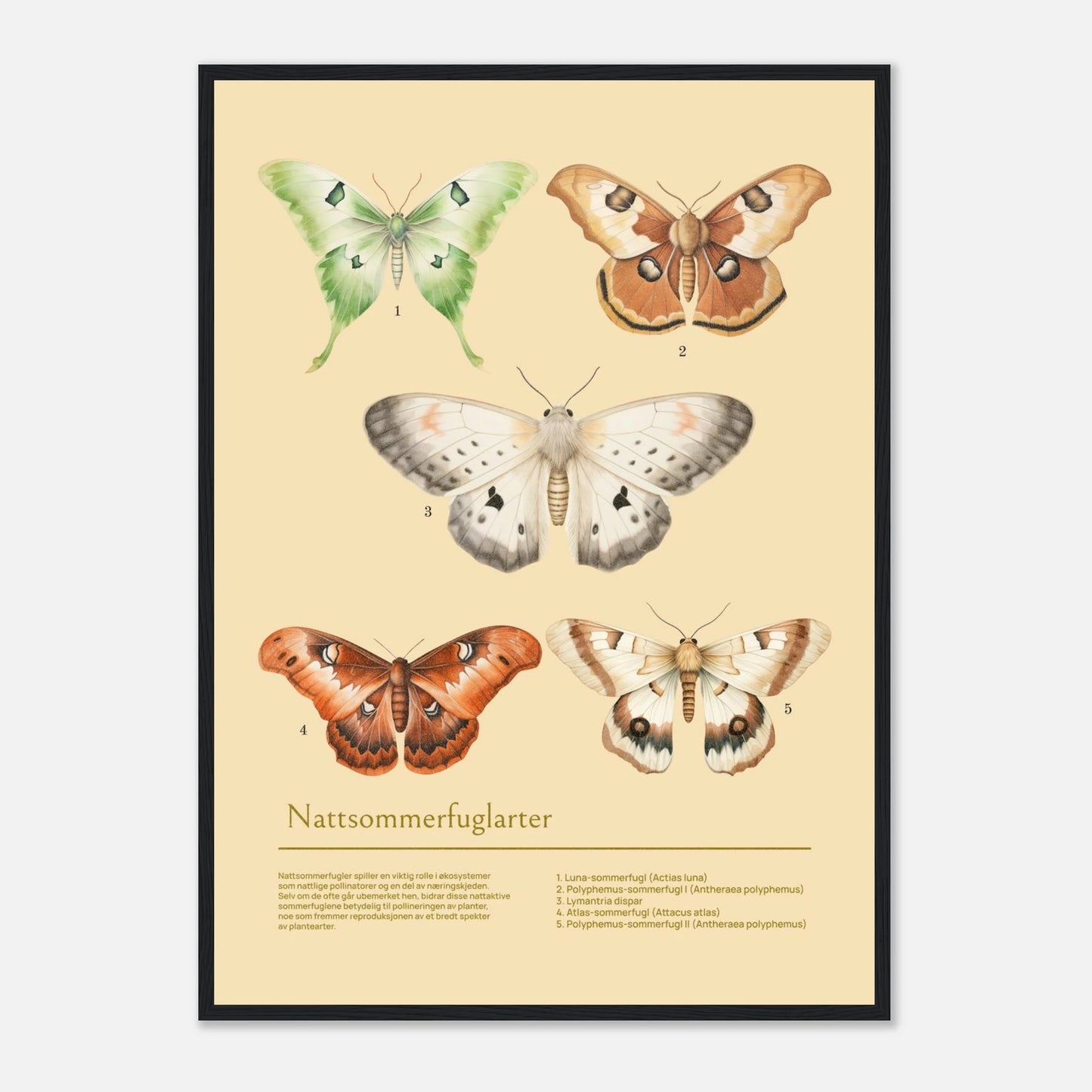 e9a23b00-27c3-406c-b77a-2e8f73f17aaa