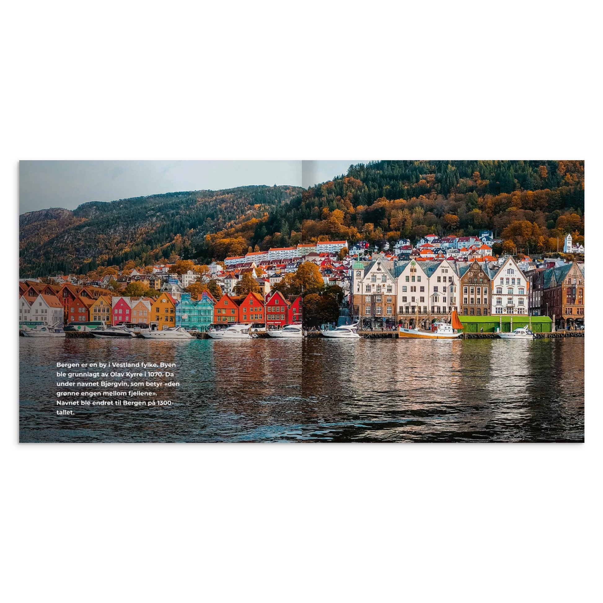 ec9553f5-fb44-41c6-bcce-2f3cf3a5d263