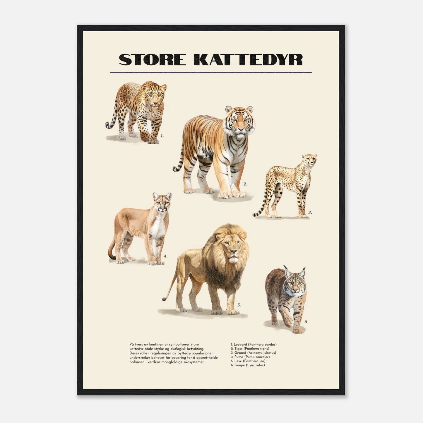 ecf635a0-d746-47d3-b902-aa601422665b