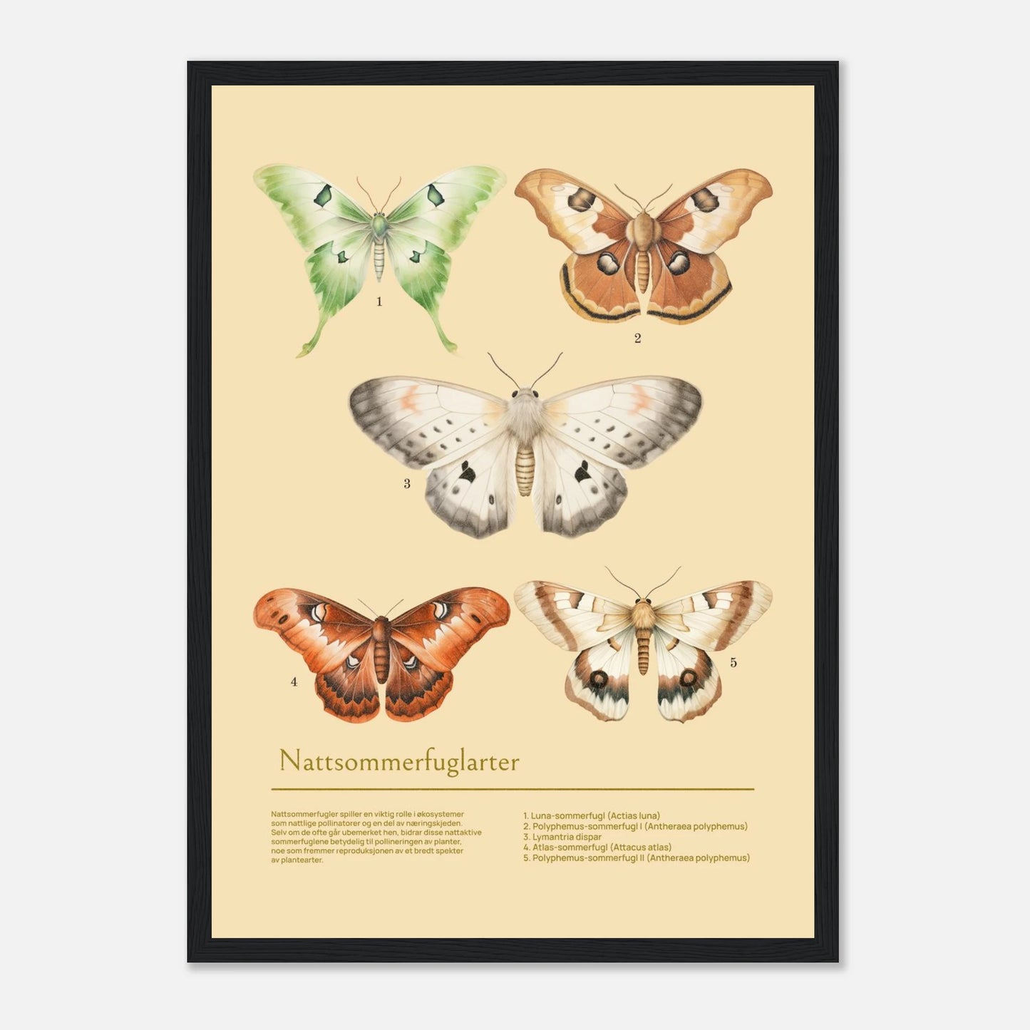 f4bc12c6-5f5a-4cac-8de3-eb47d4106dcb