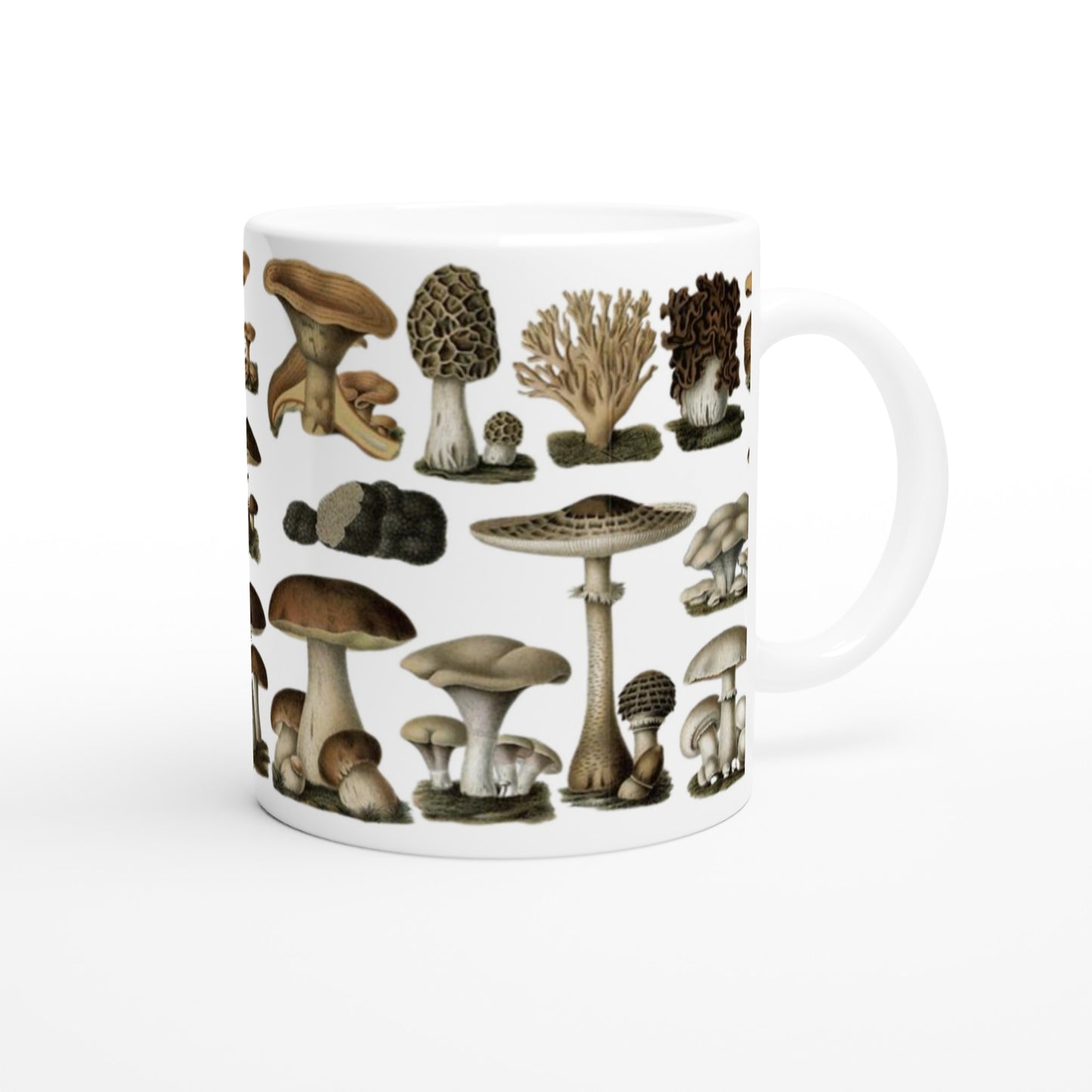 fdc053a6-db5a-4cdf-9b3a-796e5ce88264