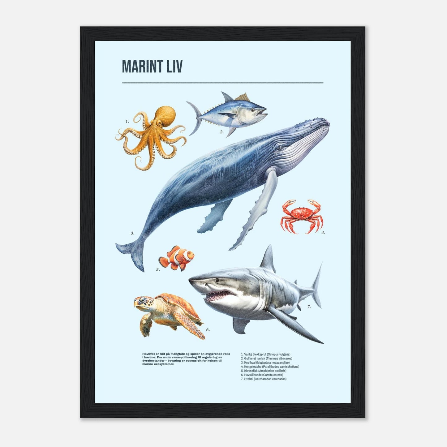 ff4ba907-ed12-42f2-91cb-7b0ab9c24205